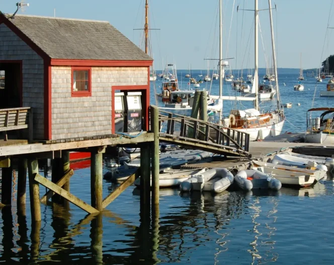 Maine Coast Home Page